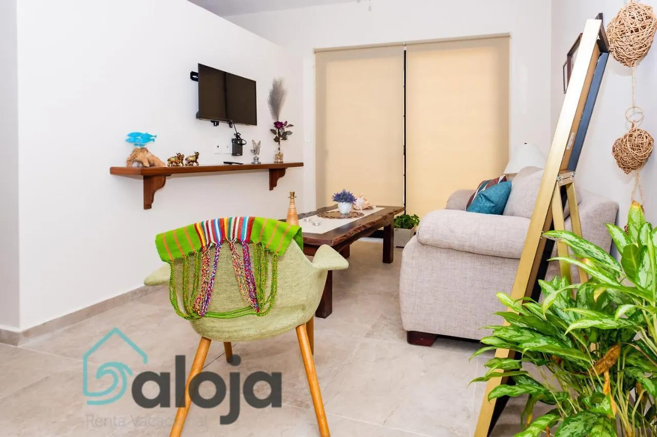 Ideal Estudios Calidos Y Acogedores Cancún